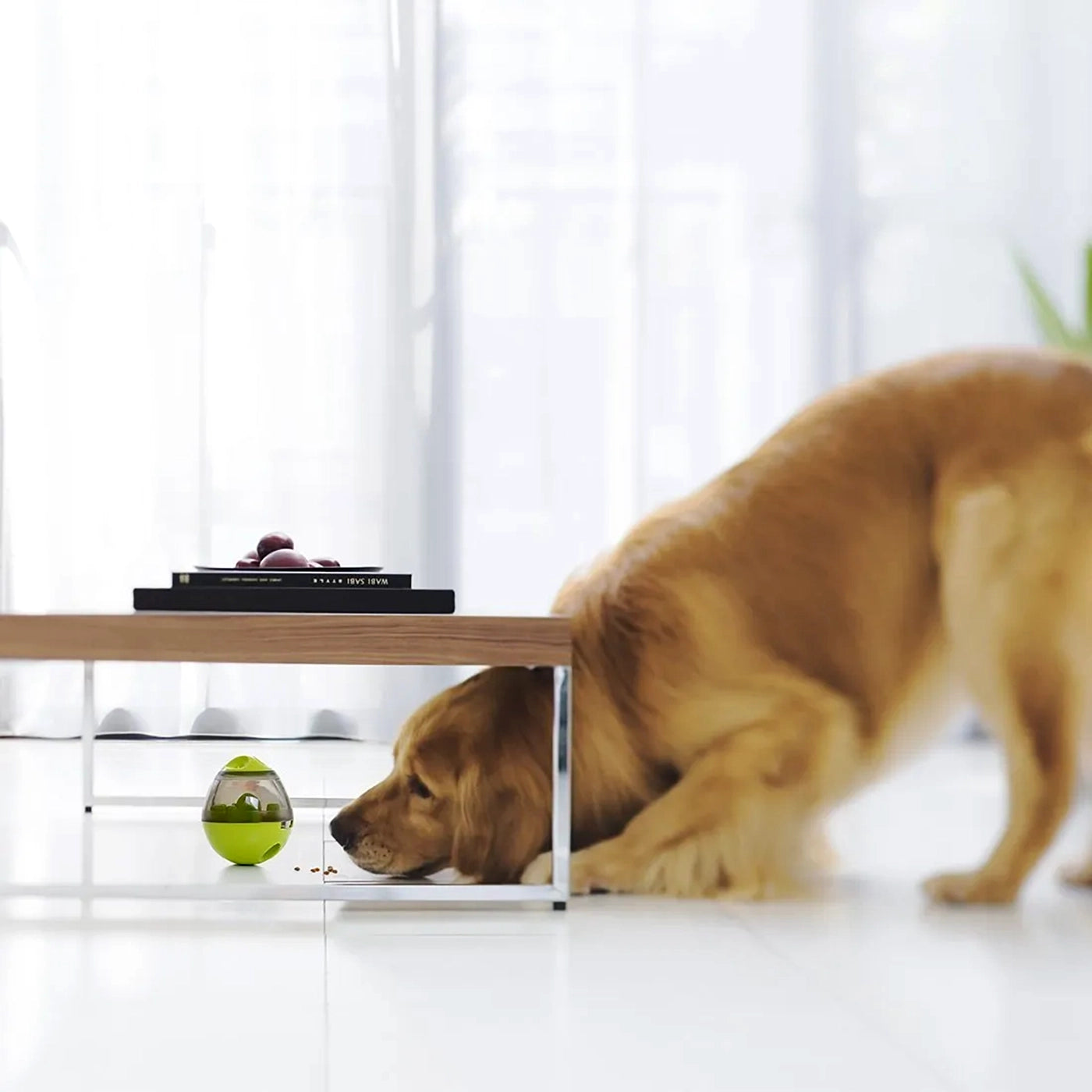 Treat Tumbler - Interactive IQ Boosting Pet Toy
