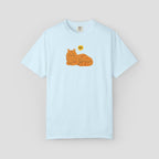 Grumpy Orange Tabby "No" T-Shirt