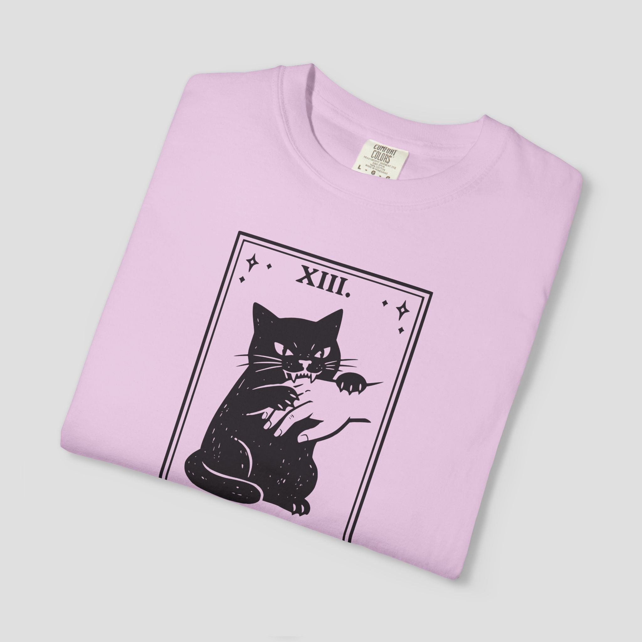 Tarot Cat “I Knew the Risk” T-Shirt