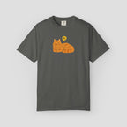 Grumpy Orange Tabby "No" T-Shirt