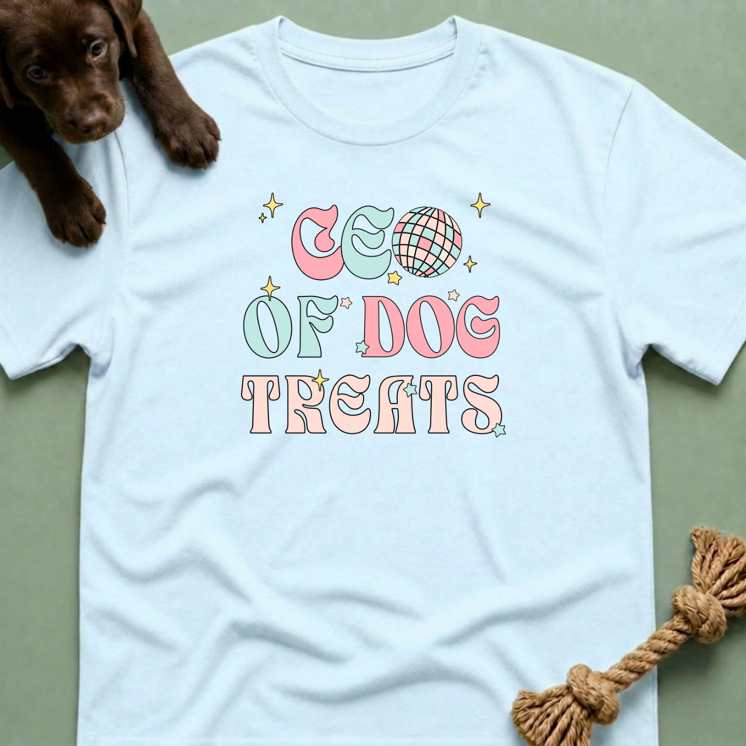 CEO of Dog Treats Groovy Fun T-Shirt